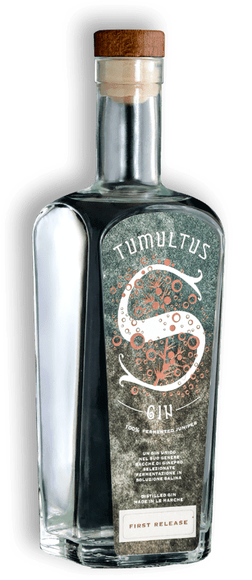 Scriptorium gin bottiglia tumultus